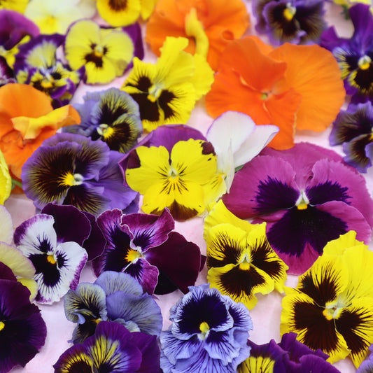 Grootverpakking horeca grootbloemige Eetbare violen Mix Floral Delight