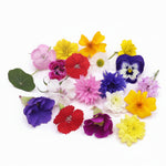 Delicate Bloemenmix