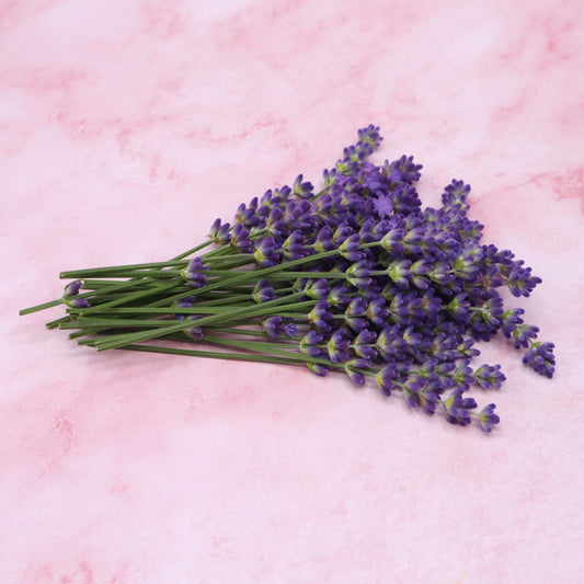 Verse lavendel. Eetbare bloemen, cocktails, champagne, mocktails, garnering, limonades, taarten