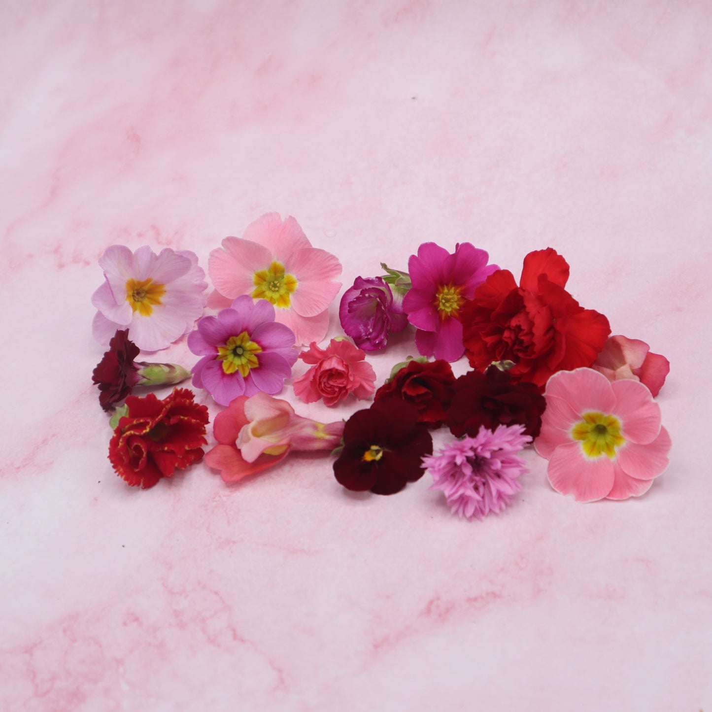 liefdes mix , valentijn eetbare bloemen. rood en roze romantisch