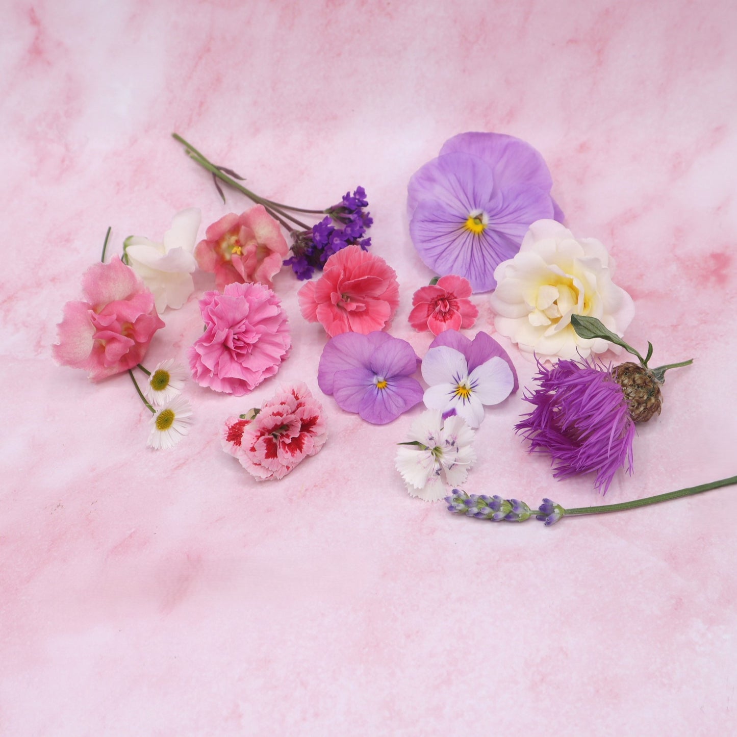Lieve mix, eetbare bloemen, zachte kleuren, floral delight, pastel roze lila wit. Floral Delight