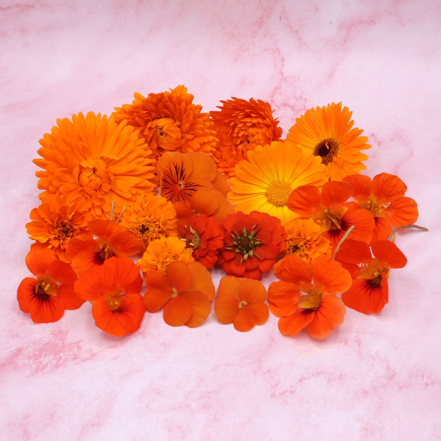 Vrolijke Mix. Eetbare bloemen. Oranje en geel. Edible Flowers. Floral Delight.