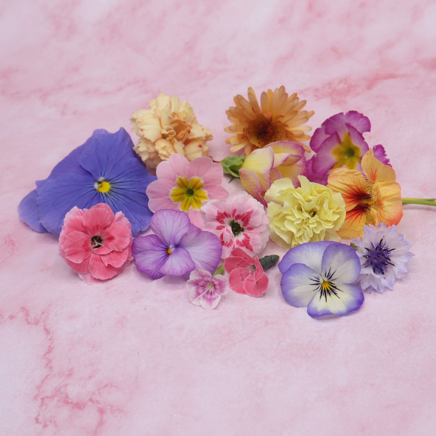 Pastel kleurige eetbare bloemen. Bruiloft, Bruidstaart, champagne, cupcakes, dripcake, lieve kleuren. Floral Delight