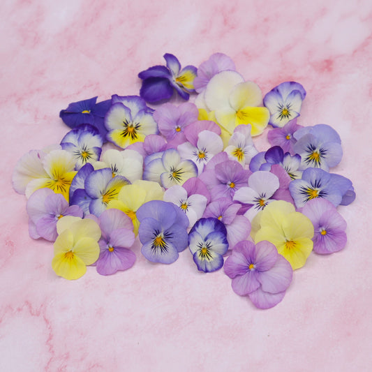 pastel mix viooltjes. Eetbare violen kopen online Floral Delight