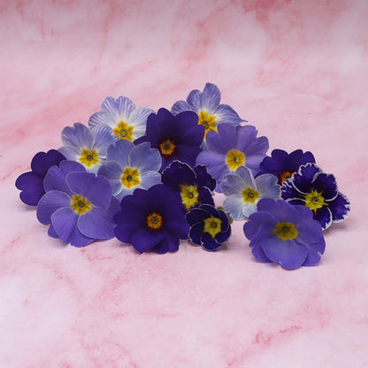 Eetbare bloemen Primula Primrose Cupcake taart cocktail mocktail champagne Floral Delight blauw