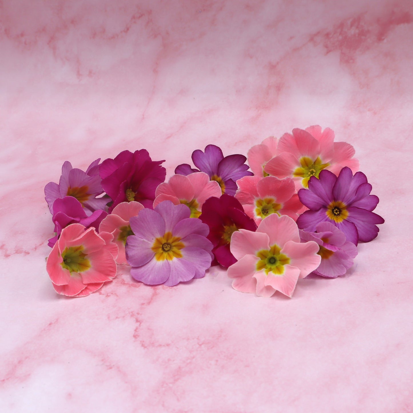 eetbare primula roze eetbare bloemen kopen