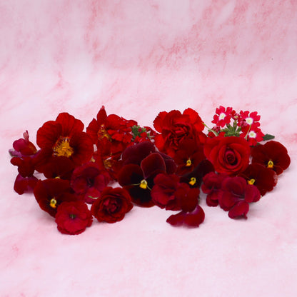 Rode eetbare bloemen. Liefde, valentijns eetbare bloemen. Viooltjes, anjer en primula van Floral Delight. Bruidstaart, cupcake, cocktails.