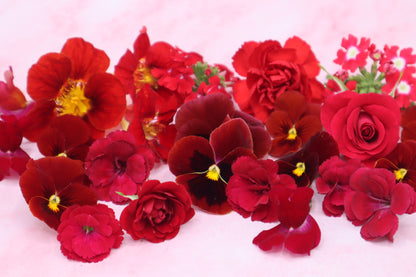 Rode eetbare bloemen. Liefde, valentijns eetbare bloemen. Viooltjes, anjer en primula van Floral Delight. Bruidstaart, cupcake, cocktails.