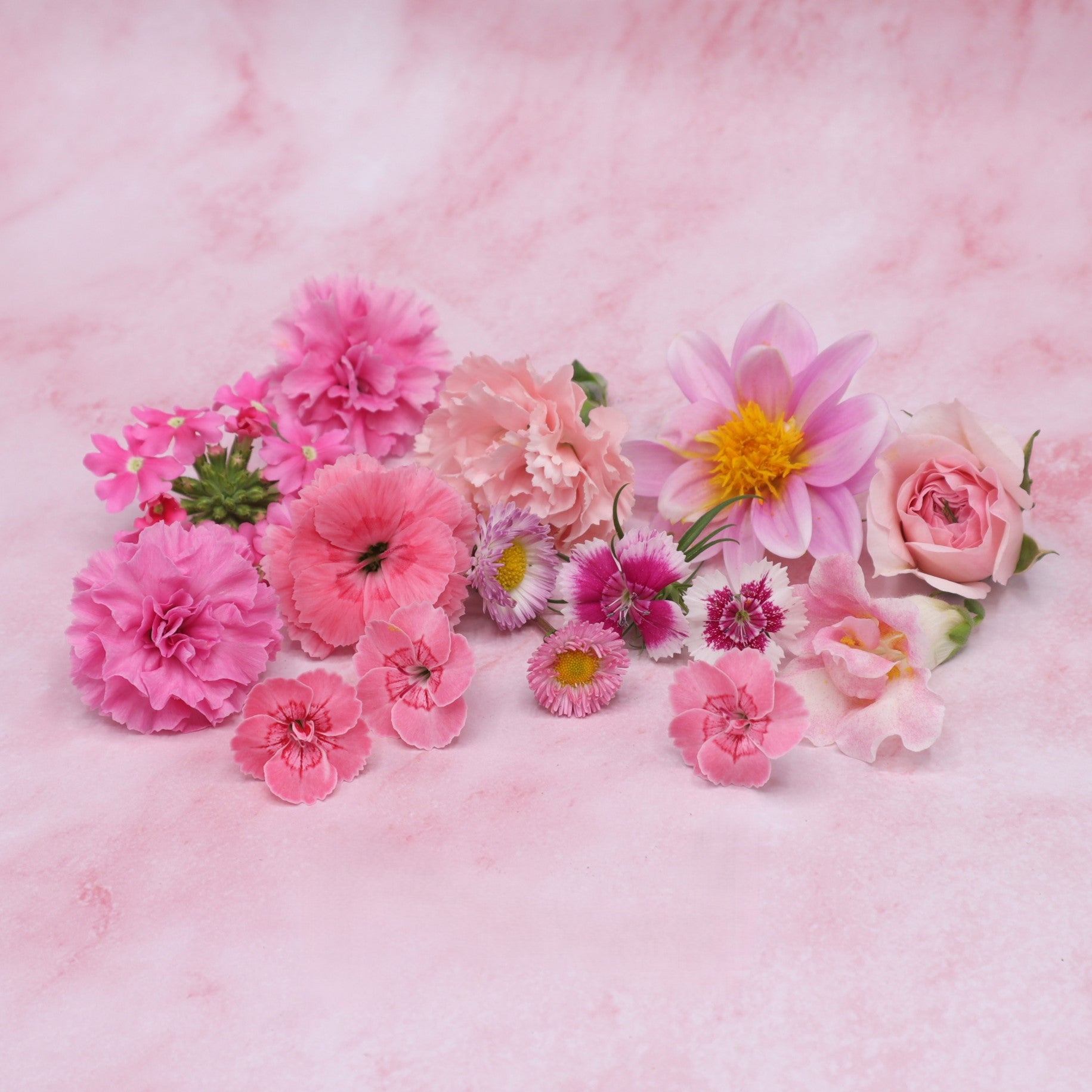 Roze eetbare bloemen mix. Romantische mix. lichtroze en donkerroze. Floral Delight