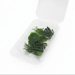Groene eetbare bladeren mix van Floral Delight. Botanische twist voor taarten