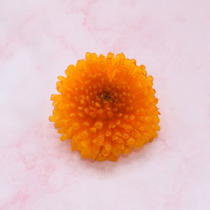 Gevriesdroogde eetbare Goudsbloem. Freeze dried edible Caledula. Floral Delight webshop online bestellen eetbare bloemen