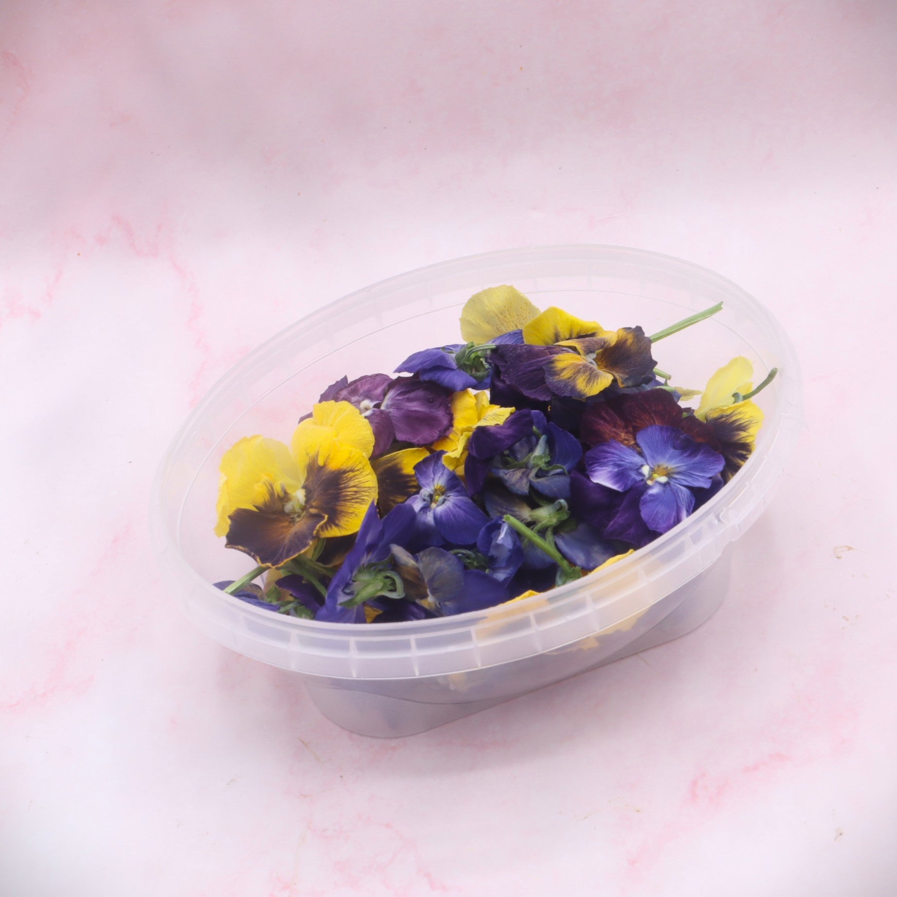 gevriesdroogde viooltjes. mix floral delight eetbare bloemen webshop