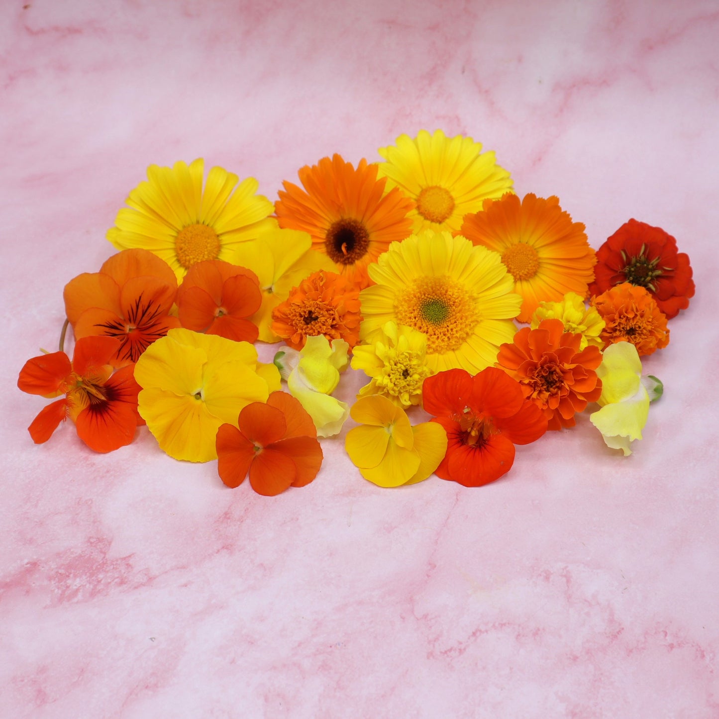 Vrolijke Mix. Eetbare bloemen. Oranje en geel. Edible Flowers. Floral Delight.