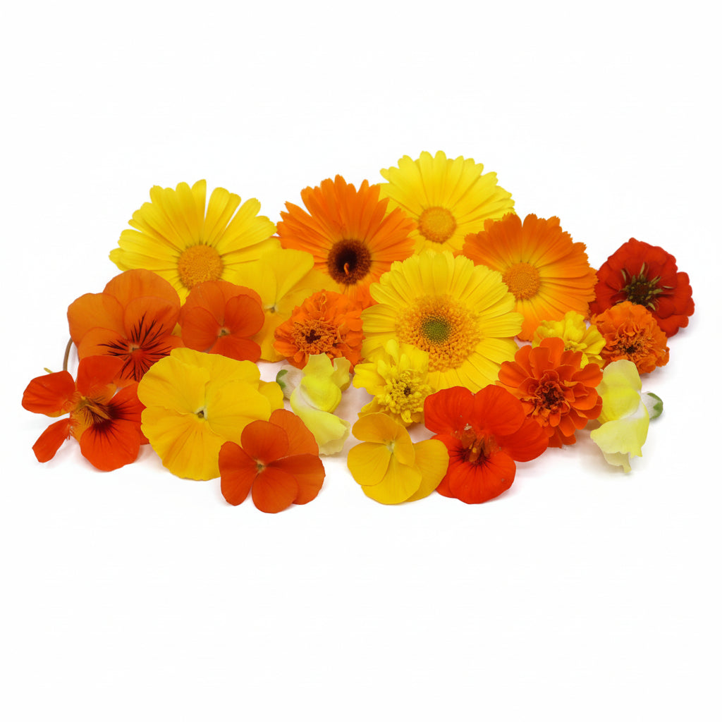 Vrolijke Mix. Eetbare bloemen. Oranje en geel. Edible Flowers. Floral Delight.