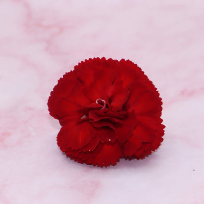 Verse eetbare Anjer - Groot, geel rood roze wit